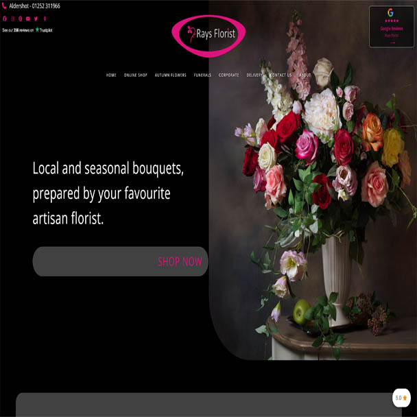 Client 3 website